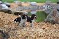 DSC_0153.JPG