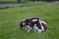 DSC_0677.JPG