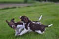 DSC_0678.JPG