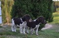 DSC_0757.JPG