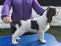 IMG_1454.JPG