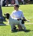 IMG_4602.JPG