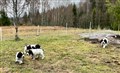 256309990_10226775114822230_5936538566394054983_n.jpg