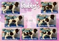 Kennel blubbys K kull.jpg
