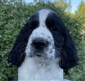 Oona H.JPG